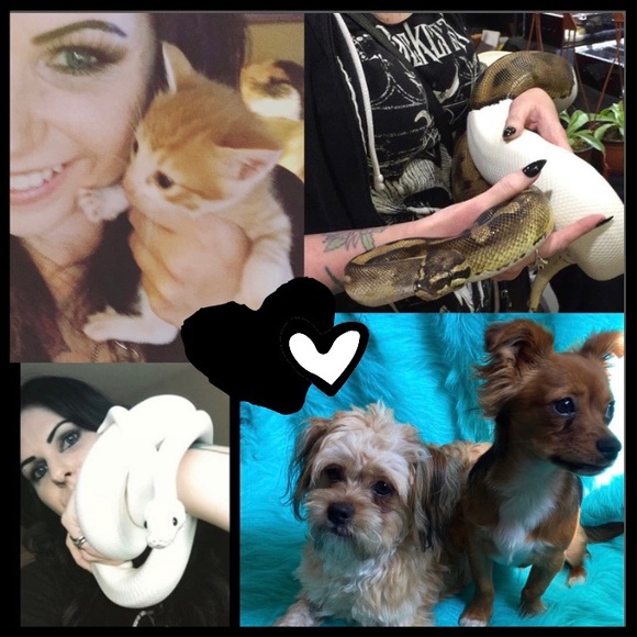 🖤PLEASE READ🖤 - Picture 1 of 1